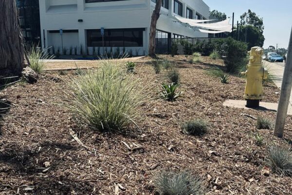 PHOTO-2023-09-07-11-50-46 3