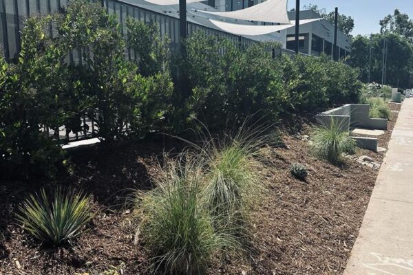 PHOTO-2023-09-07-11-50-46 4