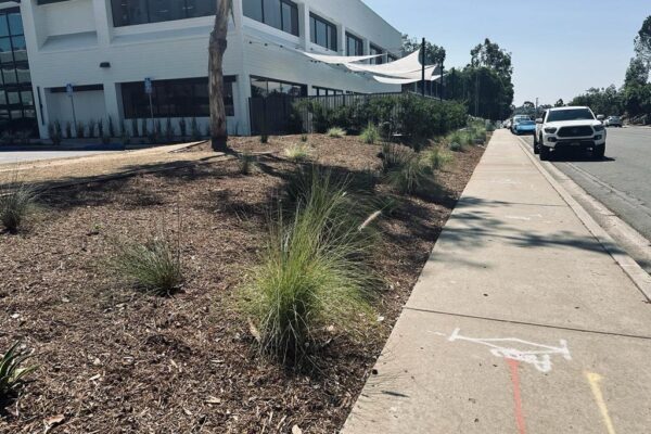 PHOTO-2023-09-07-11-50-46 5