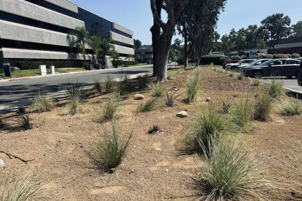 PHOTO-2023-09-07-11-50-46 6