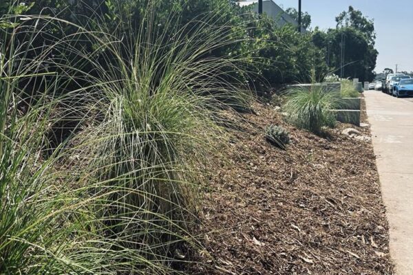 PHOTO-2023-09-07-11-50-46