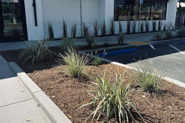 PHOTO-2023-09-07-11-51-04