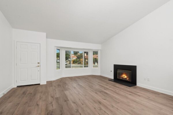 PHOTO-2024-11-15-18-36-49 3